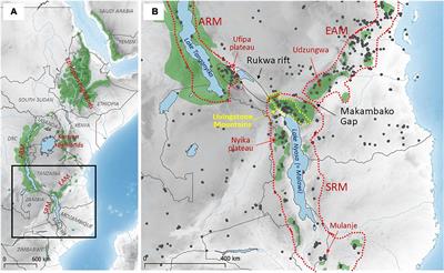 Biogeographical Importance of the Livingstone Mountains in Southern Tanzania: Comparative Genetic Structure of Small Non-volant Mammals